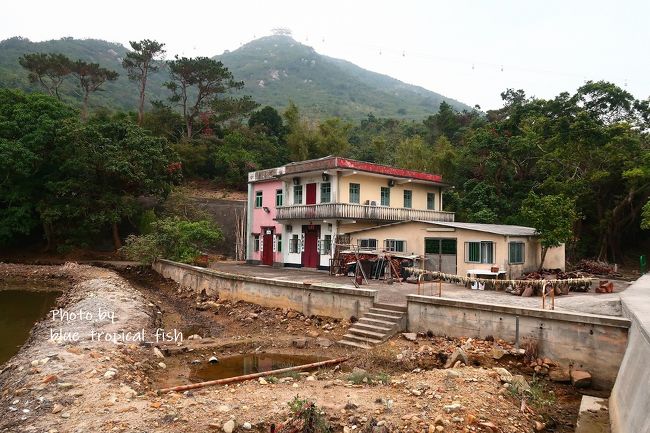 このあたりに、上に続く階段があって、ずーーーっと歩いていくとゴンピンの大仏様のところまで行けます。以前、チャリティーウォークに参加した時、大仏様のところから、ここを通って、東涌駅まで歩いていきました。<br /><br />香港★ゴンピンチャリティーウォーク2016　昂坪から東涌までを歩く10kmのコースに挑戦<br />https://4travel.jp/travelogue/11094133