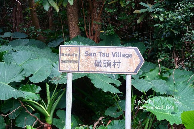 到着しました。<br /><br />○　䃟頭村