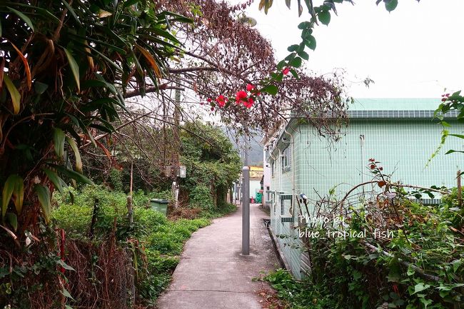 赤い花がアクセント。