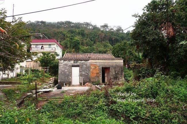 またまた古いおうち。