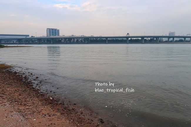 空港から飛行機が飛び立つのを眺めつつ。