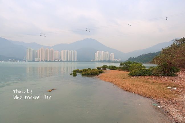 小雨がぱらついてきたので、このあとひたすら歩いて、先ほどの逸東街市まで歩いて戻りました。