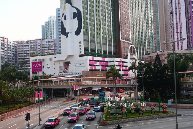 荃灣の家から歩いてここまでやってきました。悦来坊（Panda Place）が見えます。