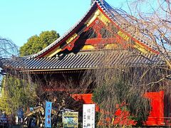 上野-2　上野恩賜公園  清水観音堂　　　　56/　　　　　1