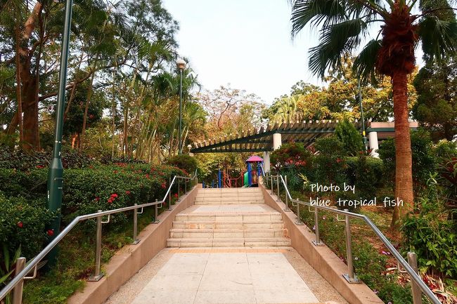 ○　廟崗街休憩處<br /><br />城門道（坂道）を歩いていると、公園を見つけました。