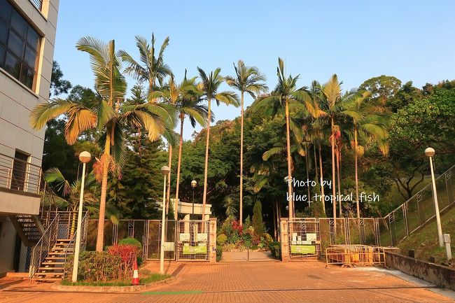 プールの建物の脇に公園の入り口がありました。