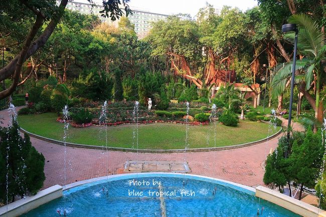 ○　城門谷公園<br /><br />普通の公園かと思ったら、様々な植物が植えられている自然いっぱいの公園でした。