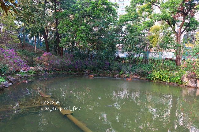 公園の真ん中には細長い池と小さな滝があります。