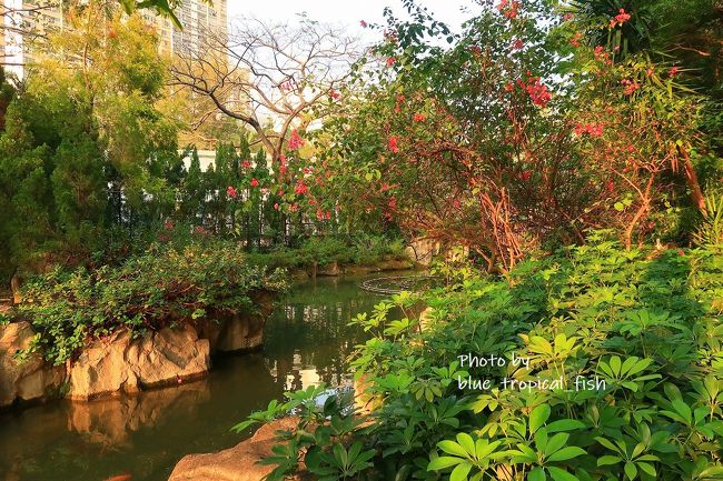 本当に自然がいっぱい。