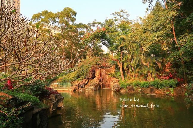 滝のところまで来ました。