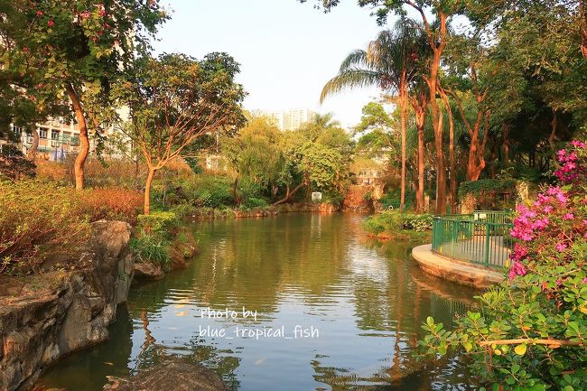 もう一つの滝。