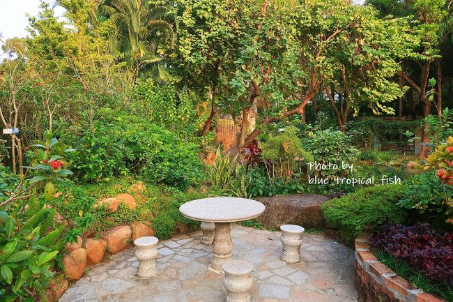 こんなところにベンチがありました。