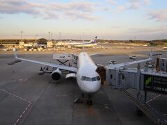 成田空港に到着しました。

運んでくれた飛行機です。
B767-300ER　JA627A
2012年3月～運航
機齢6年8ヶ月
