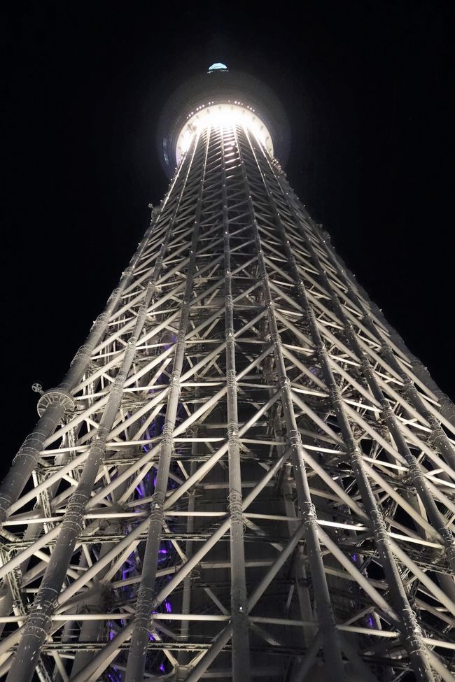 ツレと すみだ水族館 De はぐれまくり 東京の旅行記 ブログ By Phophochangさん フォートラベル
