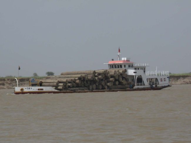 　チーク材でしょうか。東南アジアは大きい木が多いですね。