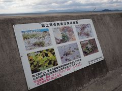 AM11：00
「吹上浜」到着！
この海岸は現在放映されている
NHK朝の連続テレビ小説「まんぷく」ロケが行われた場所です。
毎朝、福ちゃんが歩いている姿を見ているので親近感を覚えます。

堤防沿いに駐車し、浜にでます。
観光用に整備されている訳では無いので駐車場等はありません。