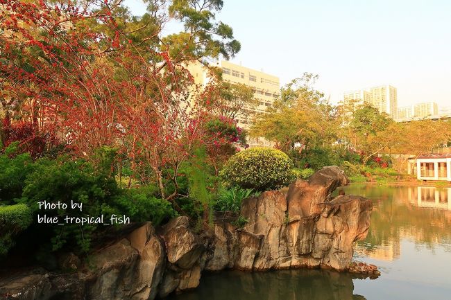 龍の形をした岩がありました。よく見ると珠をくわえていますね。<br /><br />この写真を撮っている近くでは、野鳥の会みたいな恰好をした男性が数名、一眼レフを構えていました。このあたりは野鳥が多いみたいで、皆さん野鳥が飛んでくると写真を撮っていました。