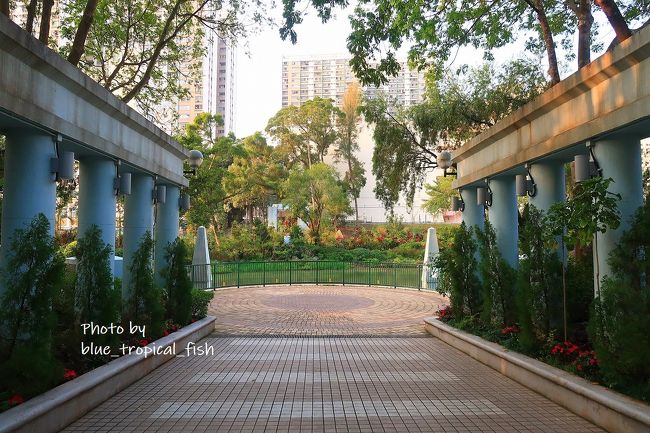 野鳥の会の皆さんに邪魔にならないようにそろりそろりと歩いて…