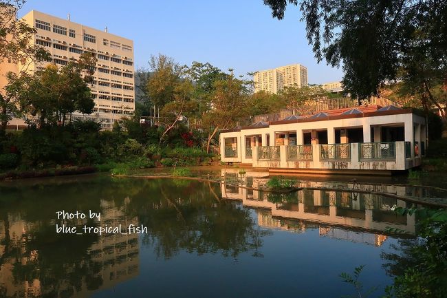 売店らしきものがありました。<br /><br />