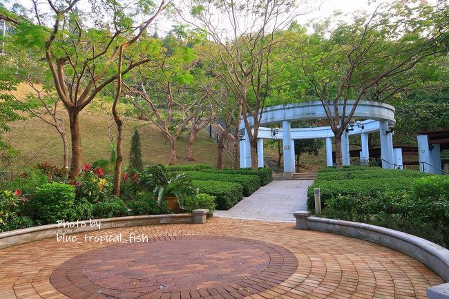 こんな広場がありました。<br /><br />運動場まで来たので、お散歩はここまで。