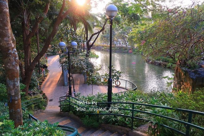 今度は坂を下りていきます。