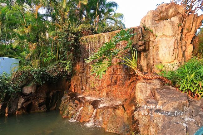 滝が綺麗でした。