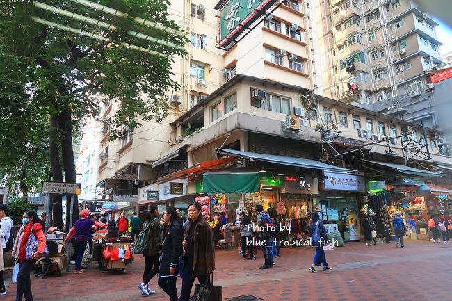 窓の外の風景。いつも歩いているところ。