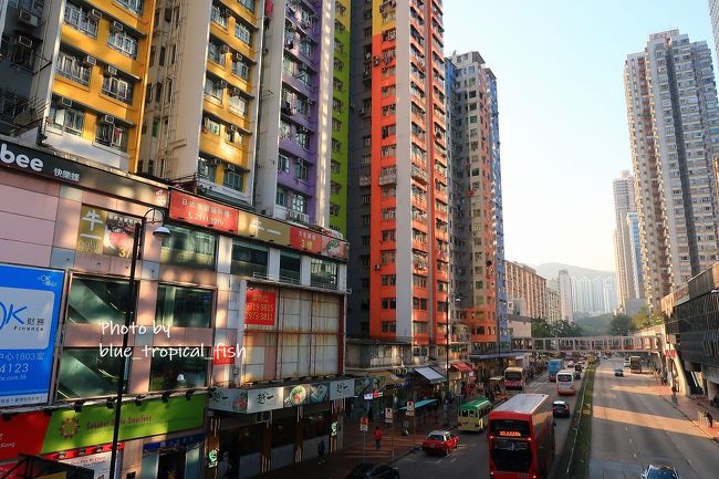 アパートやっぱりカラフル。