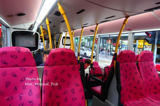 飛び乗っちゃいました。