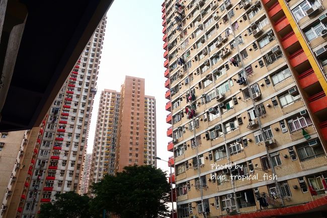 青衣の長安邨でバスを下車。