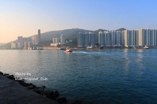 船が行きかっていました。