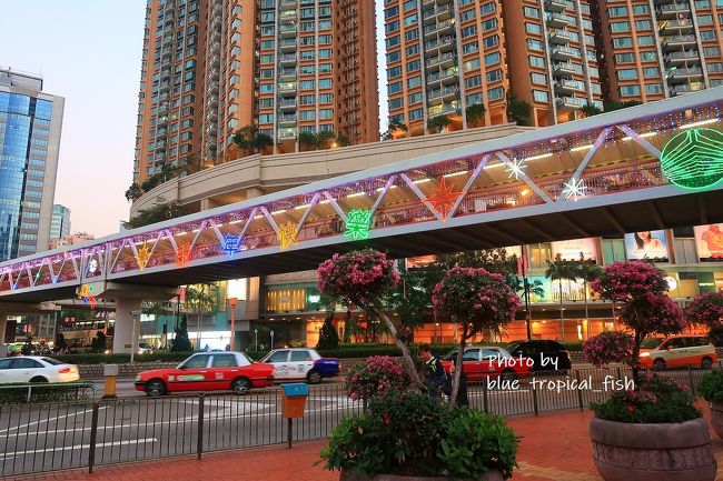 MTRで荃灣に戻ってきました。<br /><br />旧正月のイルミネーション★