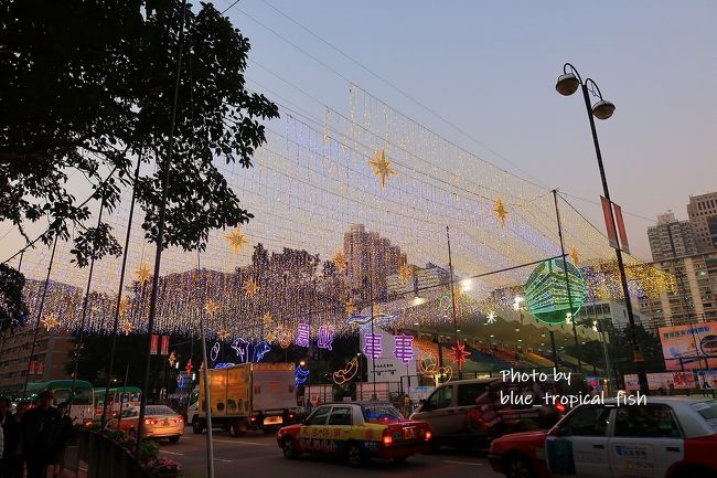 なかなか綺麗でした。