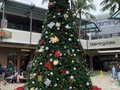 ワイキキのホテルへ移動。
荷物をおいてアラモアナショッピングセンターへ！
クリスマスツリーを発見。
ハワイで見るツリーはなんだか不思議な気分になります(笑)

