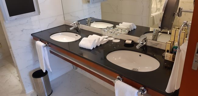 ダブルシンク<br /><br />寝る前ドライヤーしようと思ったらどこを探してもなくてフロントに電話して客室係の方が来てくれて一緒に探しまくったのですがでてきません<br /><br />パナソニック製品で大陸の人が持って帰ったようです<br /><br />日本だけじゃないんですね