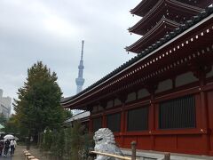 浅草寺五重の塔付近。東の空にスカイツリーがチラリ。
