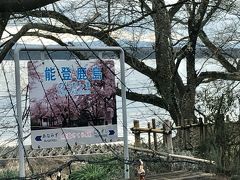 能登鹿島駅、ここも桜の名所とか？

また春に機会あればと。