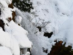 午前中の白銀の滝
遊歩道が雪で埋もれていて、近くまで行けませんでした。