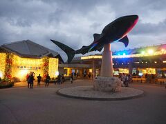 美ら海水族館は夕方４時から入館料が３０％オフの１２９０円になります。
通常冬場のこの時期は１８：３０分までの営業ですが、今はナイトアクアリウム開催中なので２１時まで営業しています。