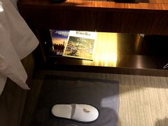 部屋に戻るとターンダウンされていました。

寝る前に明日はどこに行こうかと考えました。
外灘、新天地、田子坊、豫園と上海のほぼ行きたい所は行ったので
ちょっと遠出をしようとスマホで蘇州までの新幹線の切符をとりました。
ちゃんと新幹線に乗れるかドキドキしつつ休みました。