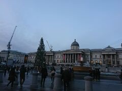 ロンドンで初めての食事をしに、ナショナルギャラリー前を通って移動中～ここにもクリスマスツリーが飾られてました。