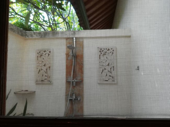 その扉の向こうが、これの外にあるシャワー。<br />プールから上がってシャワー浴びるってのなら解るんだけど、何処にもドア無いのよね。<br />何のためのシャワーなのかしら？<br />ちなみに網戸越しの写真です。