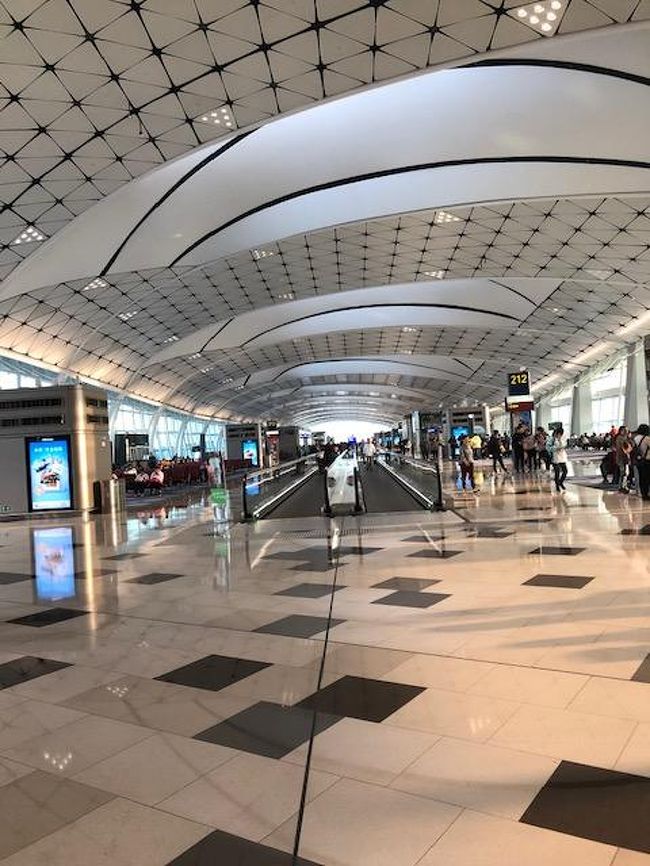 熱いお湯をバスタブに貯めて疲れたアンヨをマッサージ。<br />で爆睡。帰国便は18時発の羽田行。<br />空で来た機内用スーツケースはパンパン。<br />多分7キロなんか軽く超過してます。<br />でも超優秀アプリで計量なく乗れちゃいます。<br />ごめんねHK EXPRESS様。大目にみてくらはい。<br /><br />早目に広州東駅から和階号で深セン。で香港再上陸。<br />快晴でしたので軽くスターフェリーを満喫し香港空港へ。<br /><br />私と相性抜群のHK EXPRESS様。<br />復路便も定刻の出発。早目のてきぱき搭乗。<br />快適なフライト。定刻通りの22：50羽田着。<br /><br />おかげで心配した新宿からの終電前の電車にすんなり乗車。<br /><br />買物も満足。天気も良好。ホテルも合格。遅延やら一切なし。<br /><br />2019年初スタート旅行は満足度90点となりました。<br />HK EXPRESS様。いつもありがとうございます。<br />次回は初夏の7月にお世話になります。