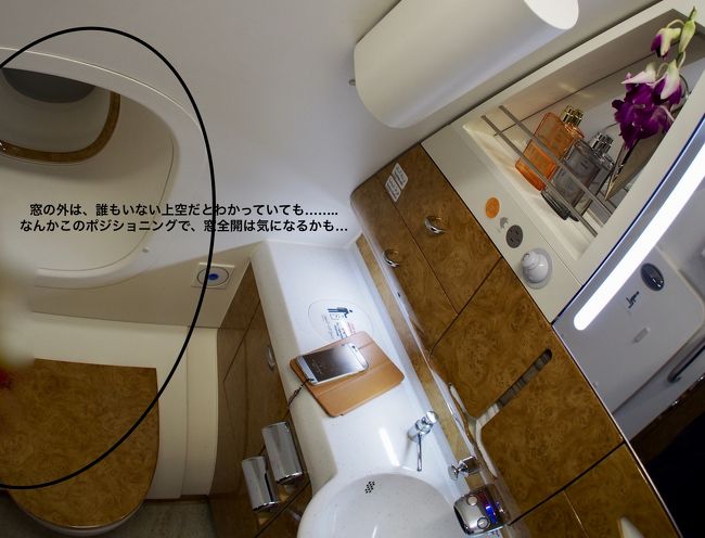 エミレーツ他方は購入出来ません。 発券内容】エミレーツ航空A380最長路線をファーストクラス