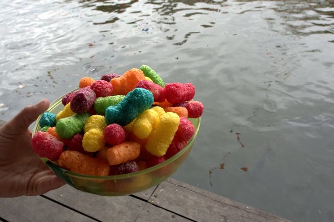 市場の入り口でこんなのが売られている。他にも数種類あり、実はこれナマズの餌。