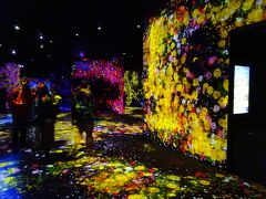 以前から行きたかった『チームラボボーダレス』、入った瞬間からデジタルワールドが広がっています。
入ってすぐの「Flower Forest」、美しく咲き乱れる花々の色の洪水が視覚に訴えてきます。