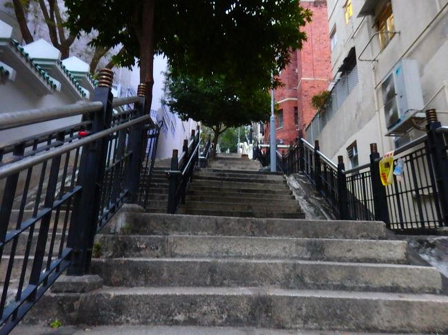 久しぶりに文武廟横を上がってみます。