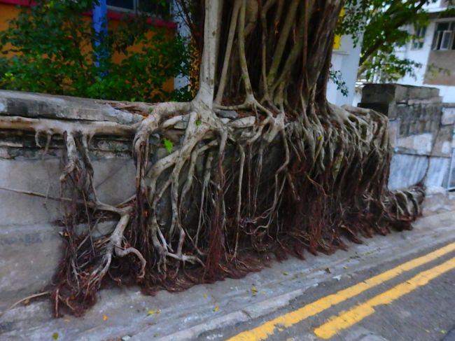 うにょにょにょ