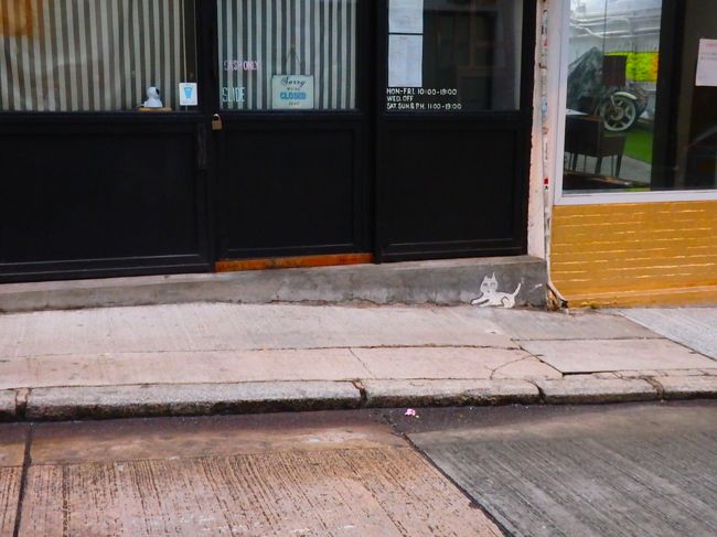 ねこちゃんおはよ