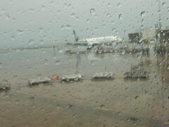 ほぼ定刻通り11時30にオークランド国際空港に到着
ん？雨か？？